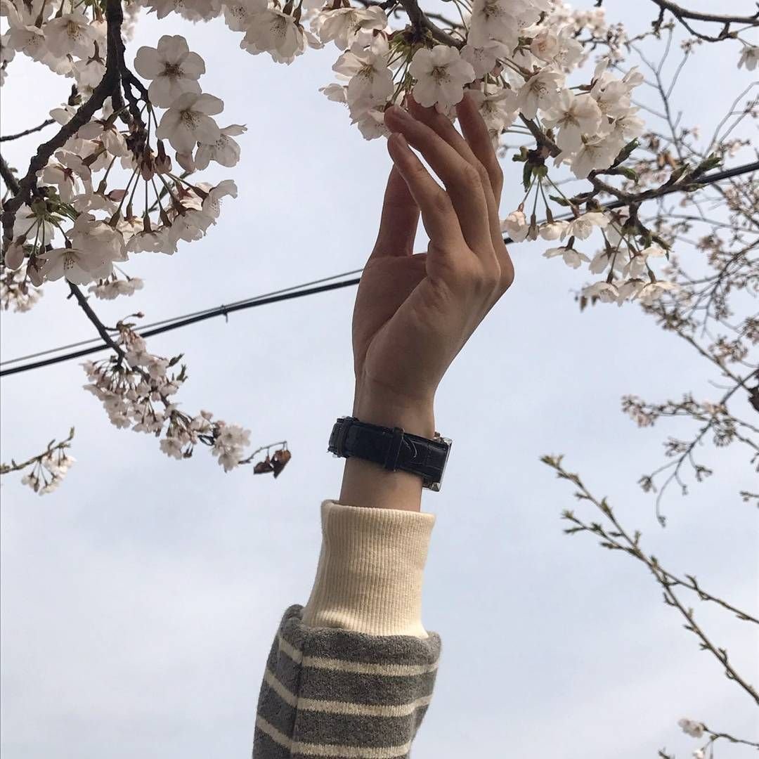 Солнечная Весна