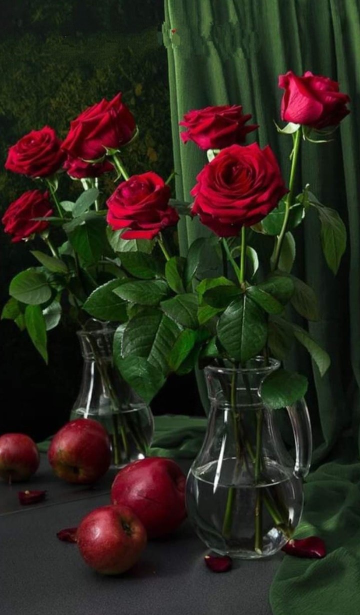 Красные розы Фотонатюрморты