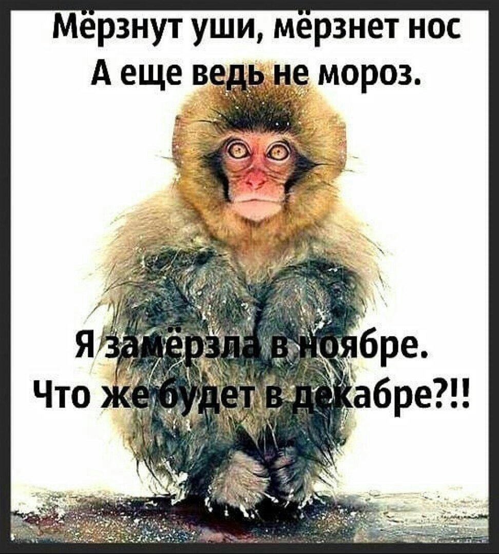 Застывшая на морозе одежда