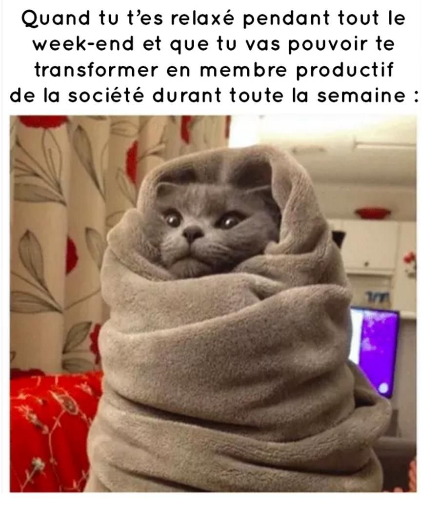 Суровая зима