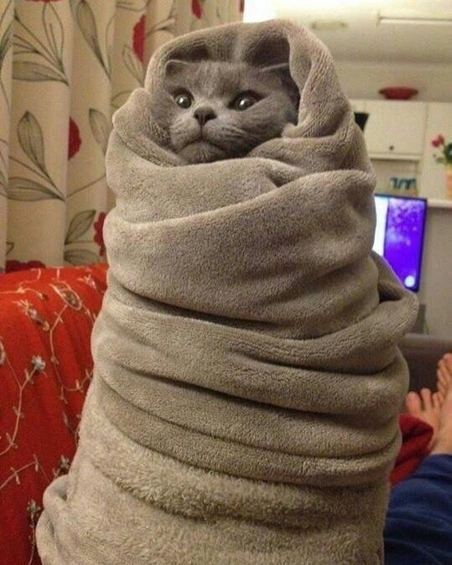 Вязание успокаивает нервы прикол