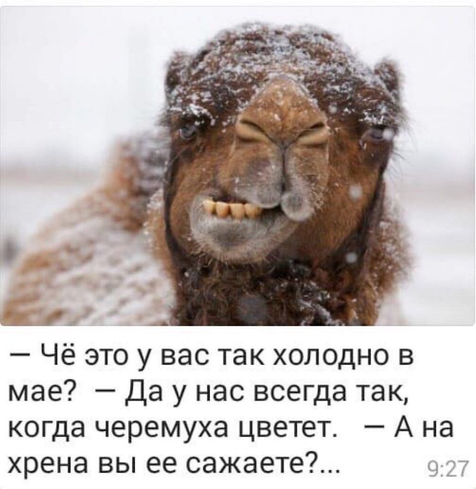 Отопление прикол