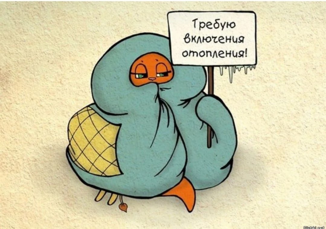 Йольский кот Исландия