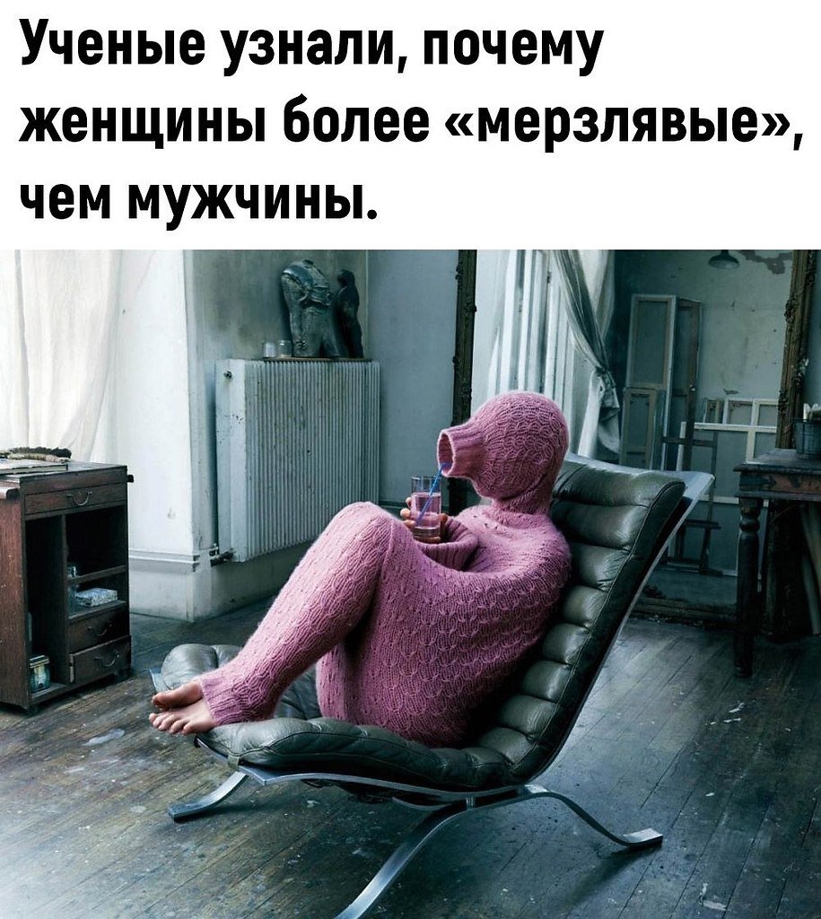 Коту холодно