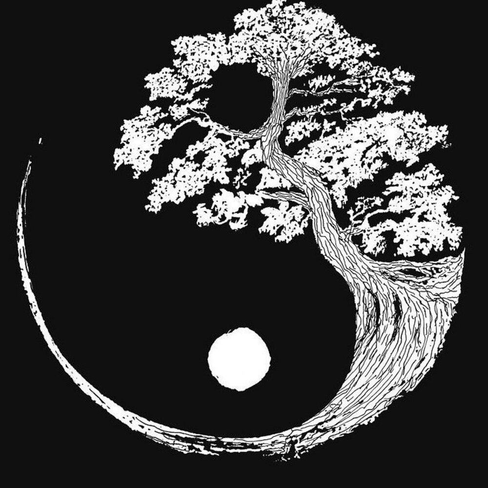 Инь Янь на японском