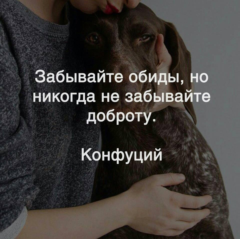 Цитаты про обиду