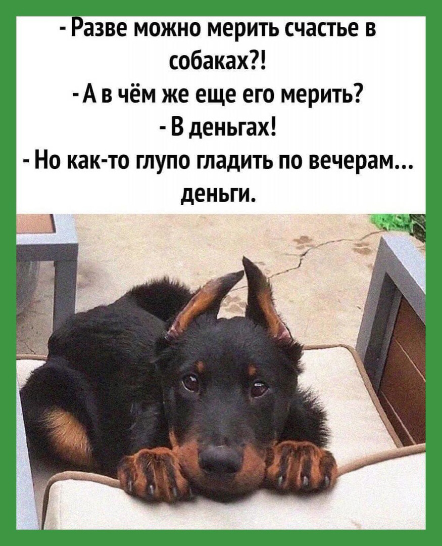 Высказываниямо собаках
