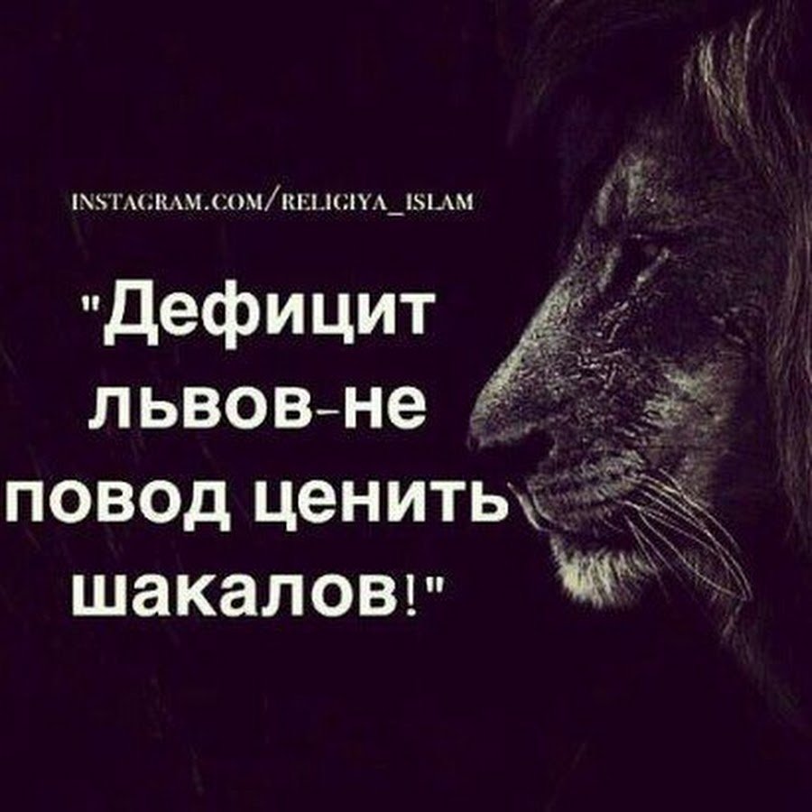 Лев цитаты