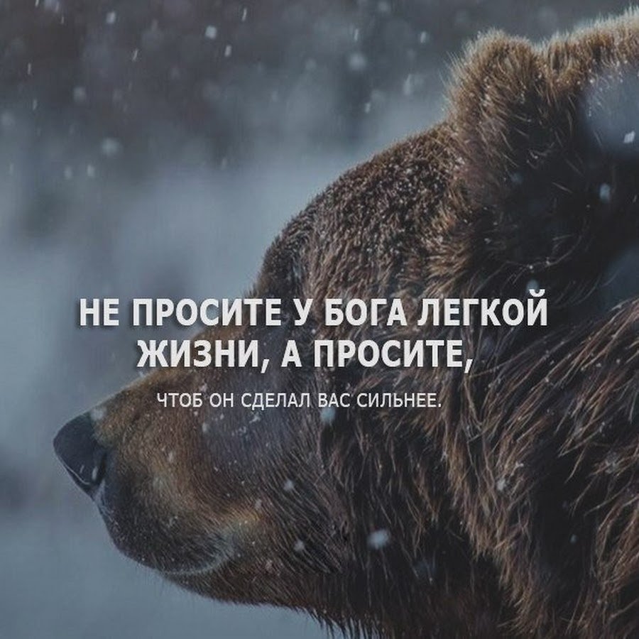 Сильные цитаты о жизни