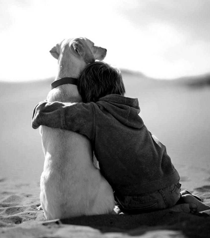 Человек обнимает собаку