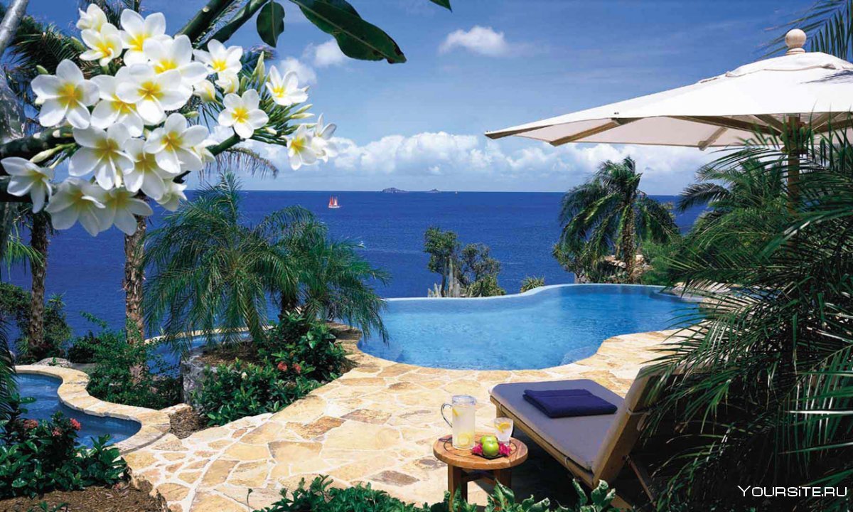 Райские кущи садов картина