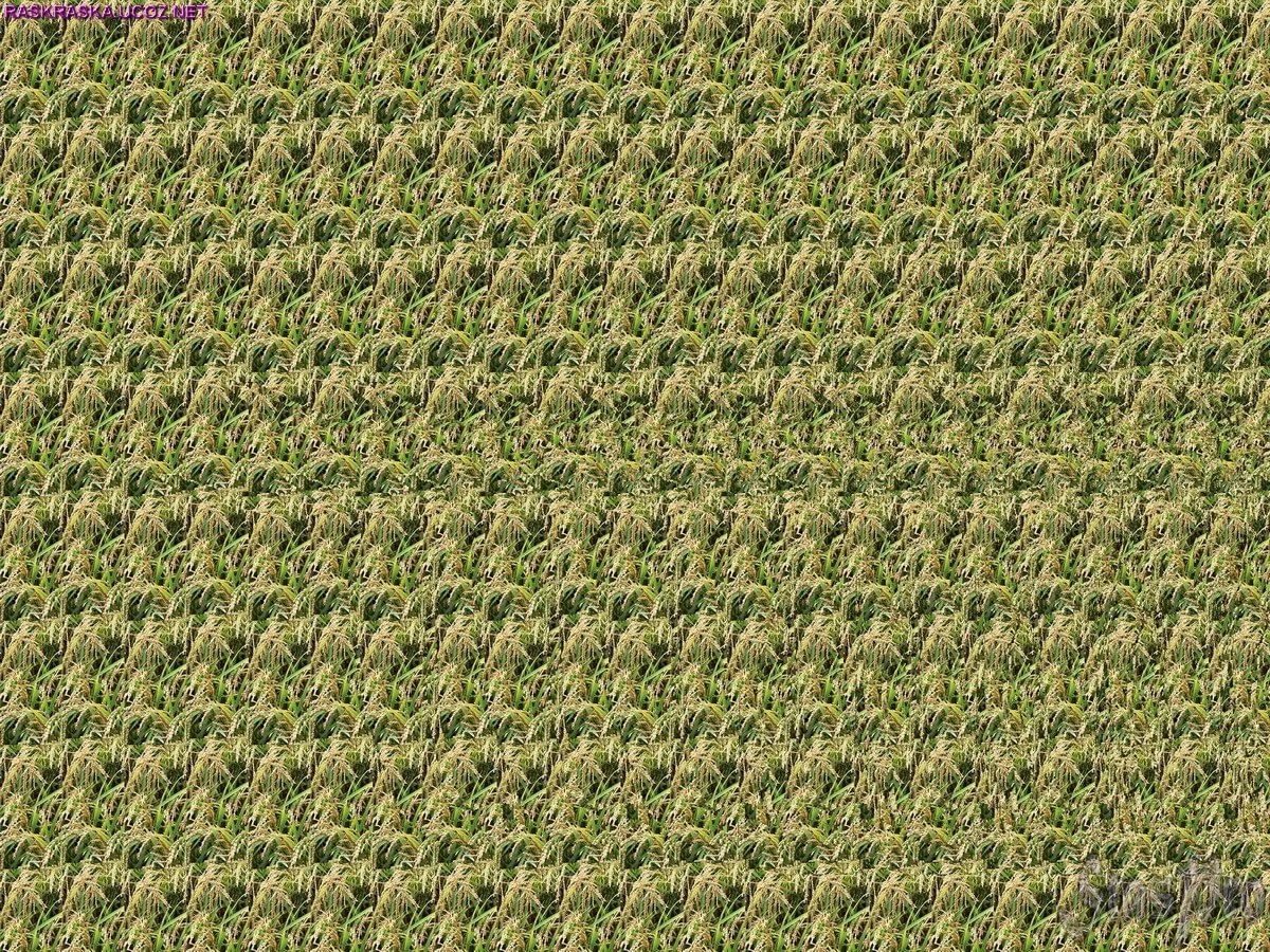 Объемные стереокартинки для глаз