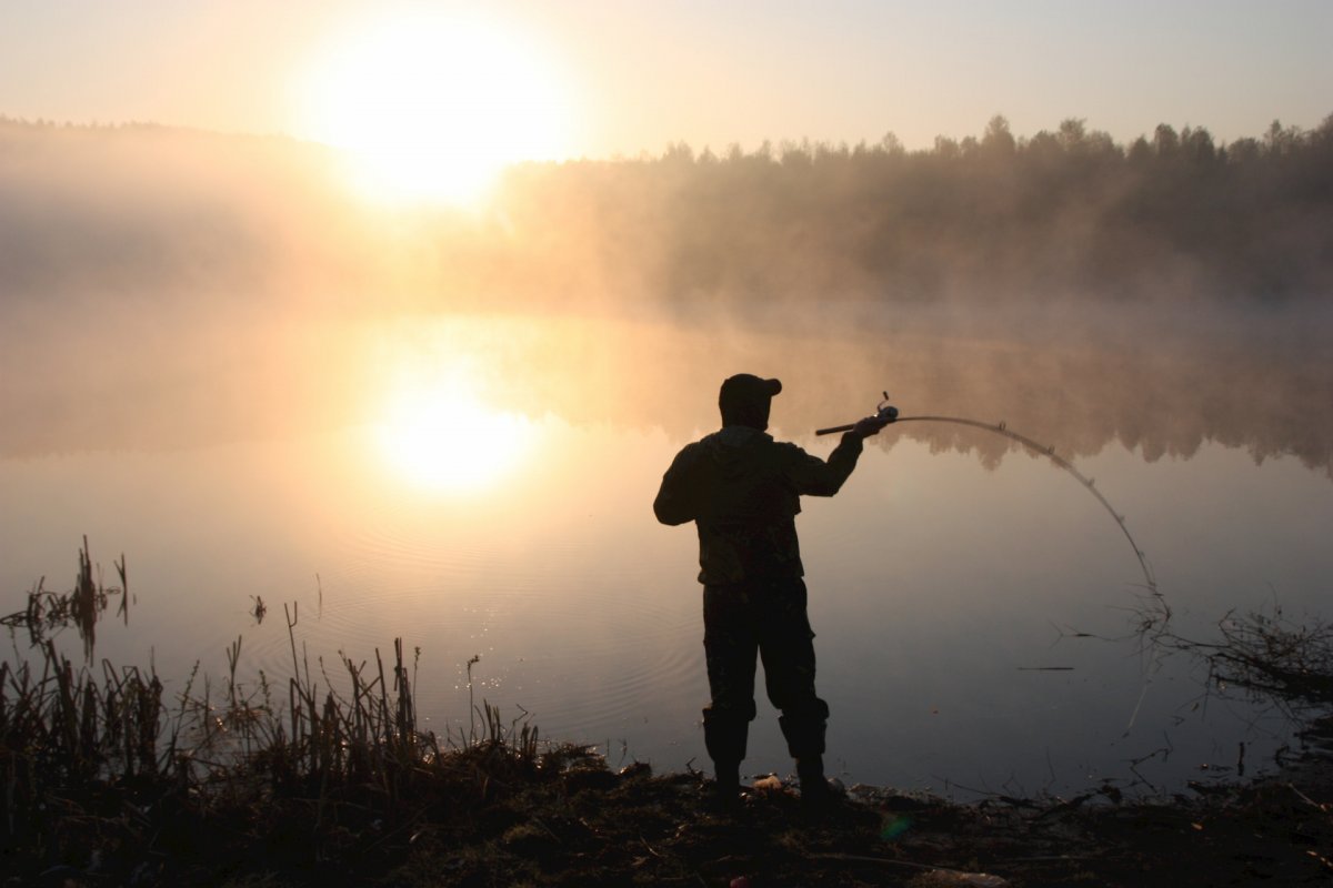 Утренняя рыбалка