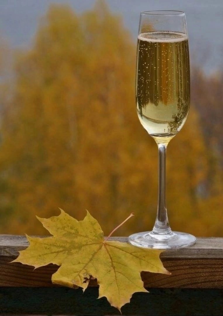 Осеннее вино