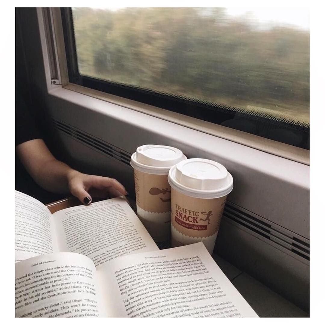 Анатомические поезда Томас Майерс