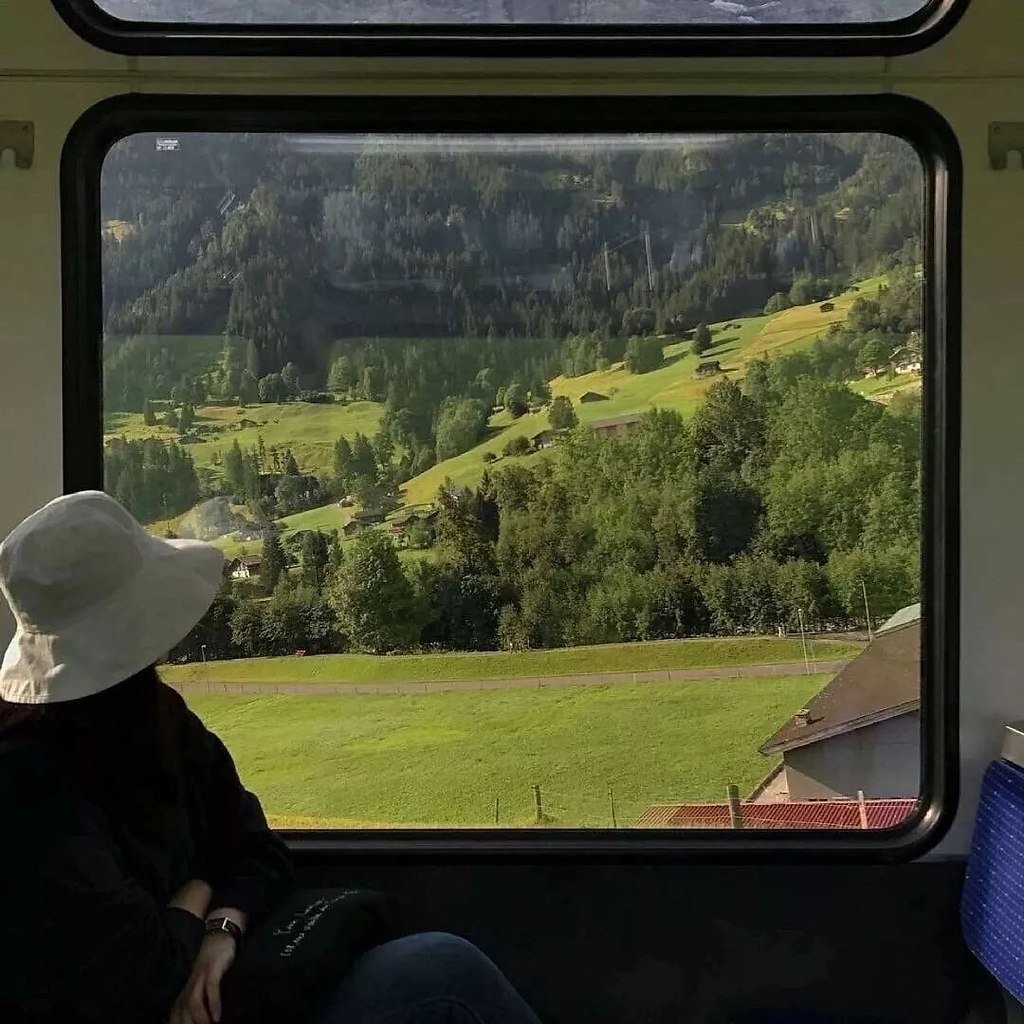 Поезд на море