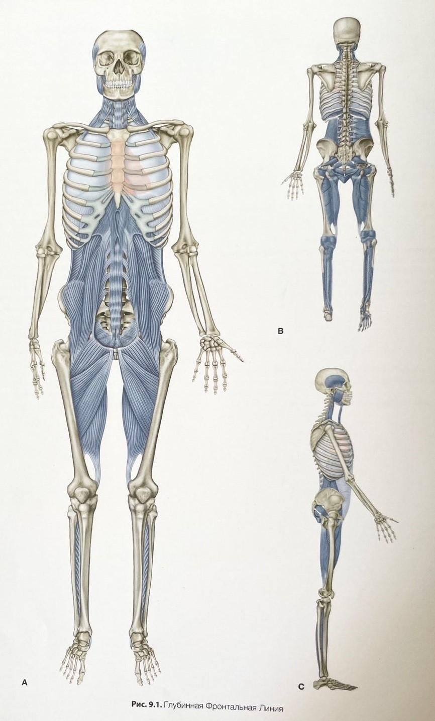 Путешествие на поезде зимой