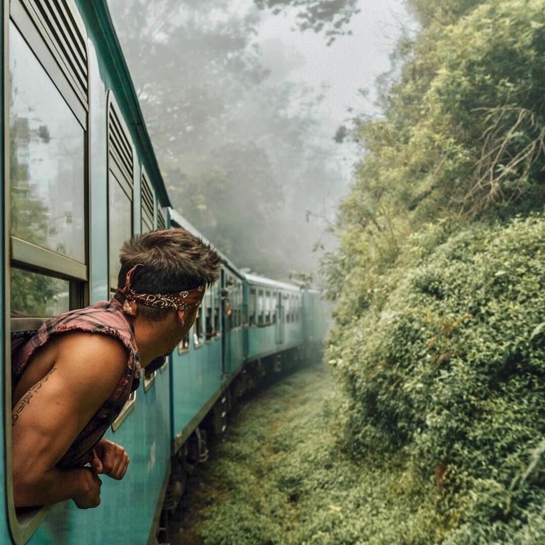 Читает книгу в поезде
