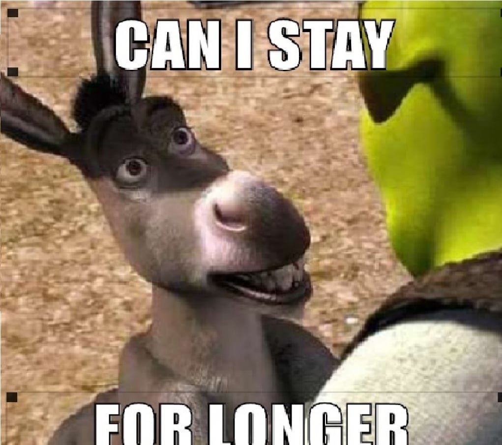 Шрек осёл и кот в сапогах