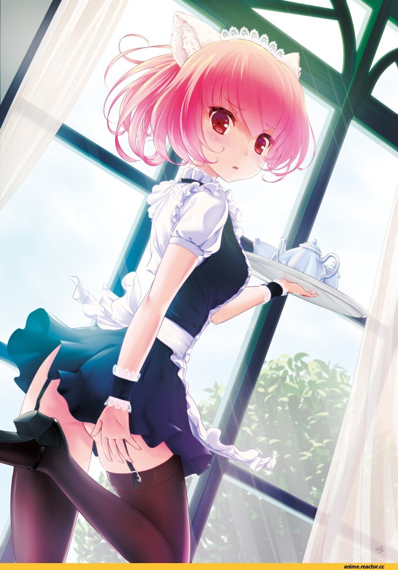 Неко чулки горничная аниме