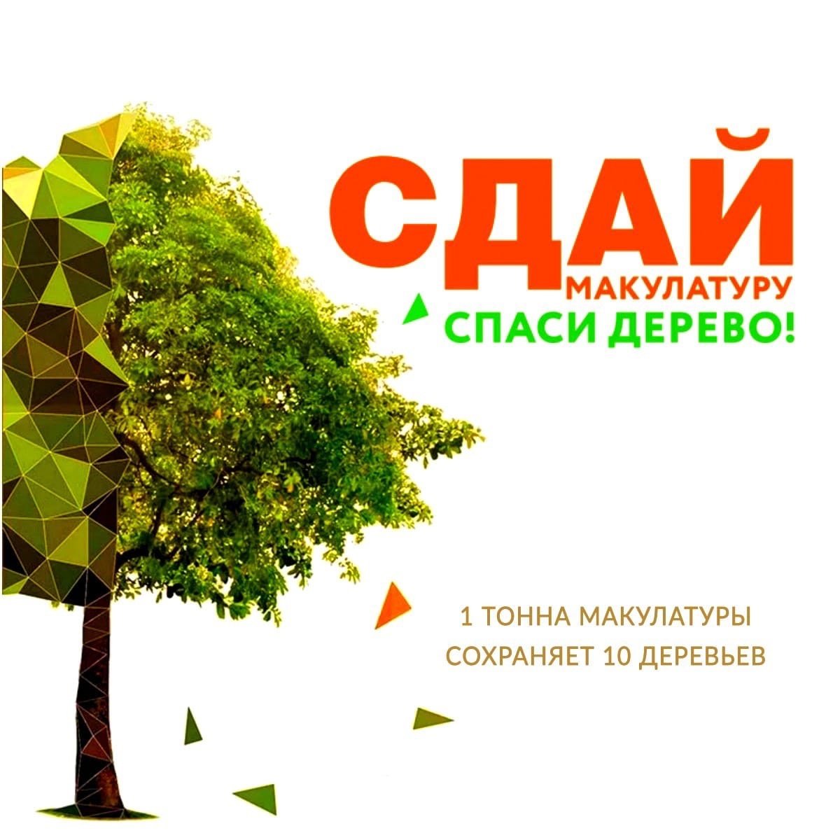 Акция Собери макулатуру Спаси дерево