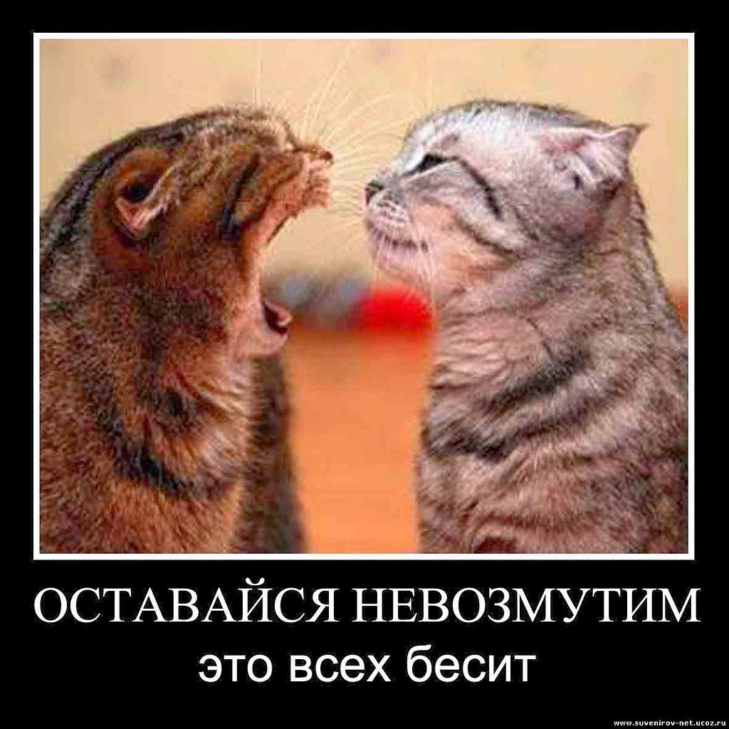 Недовольная девочка