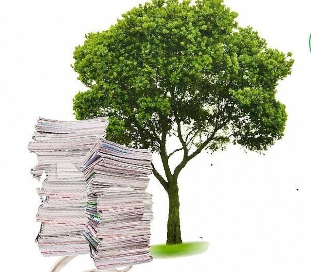 Дерево и бумага