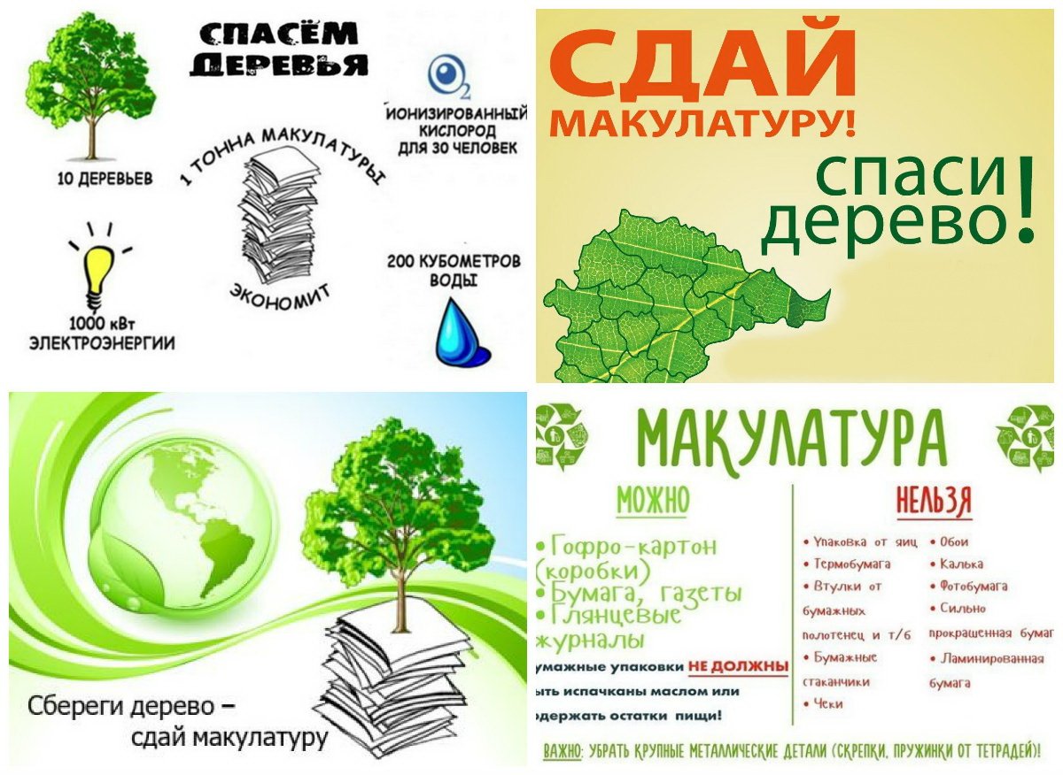 Сбор макулатуры дерево