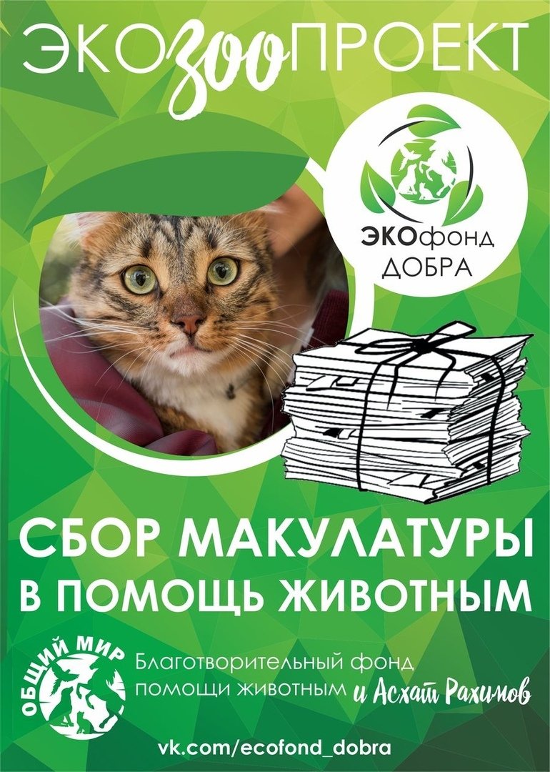 Неделя без бумаги акция