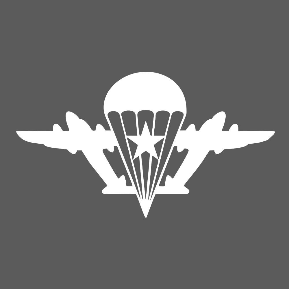 Символика ВДВ никто кроме нас