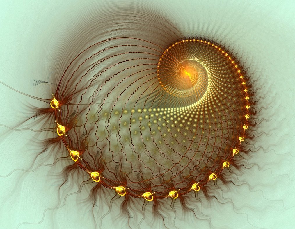 Спираль Фибоначчи фрактал