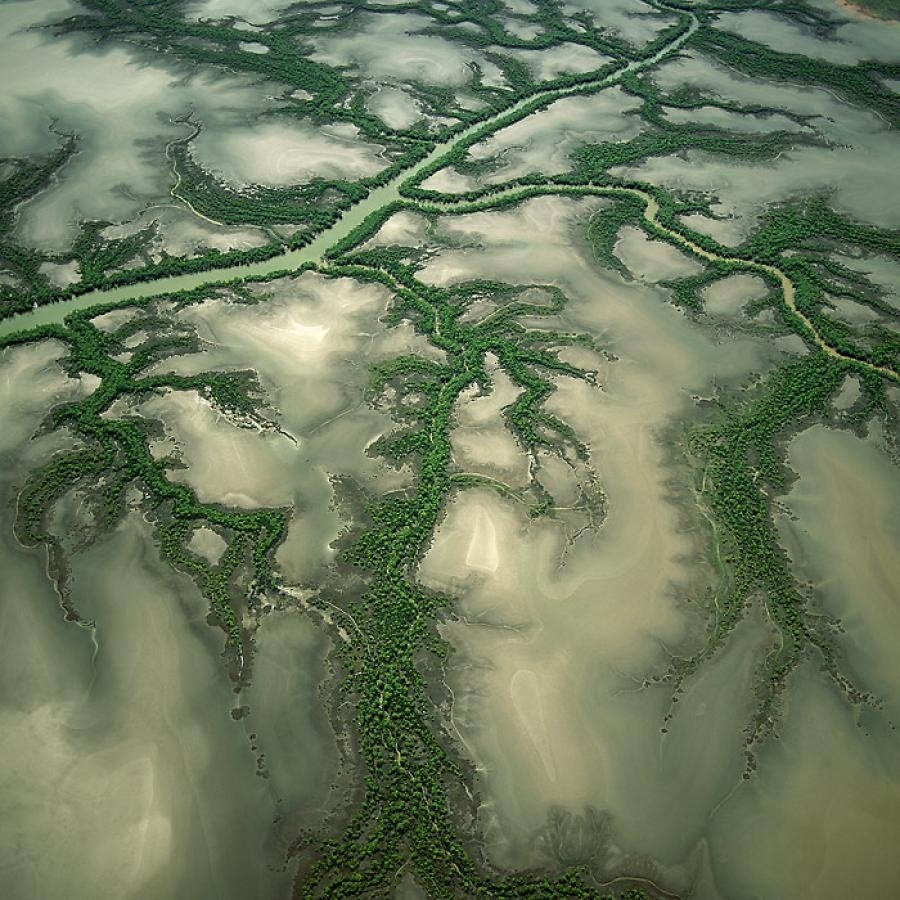 Фракталы в природе реки