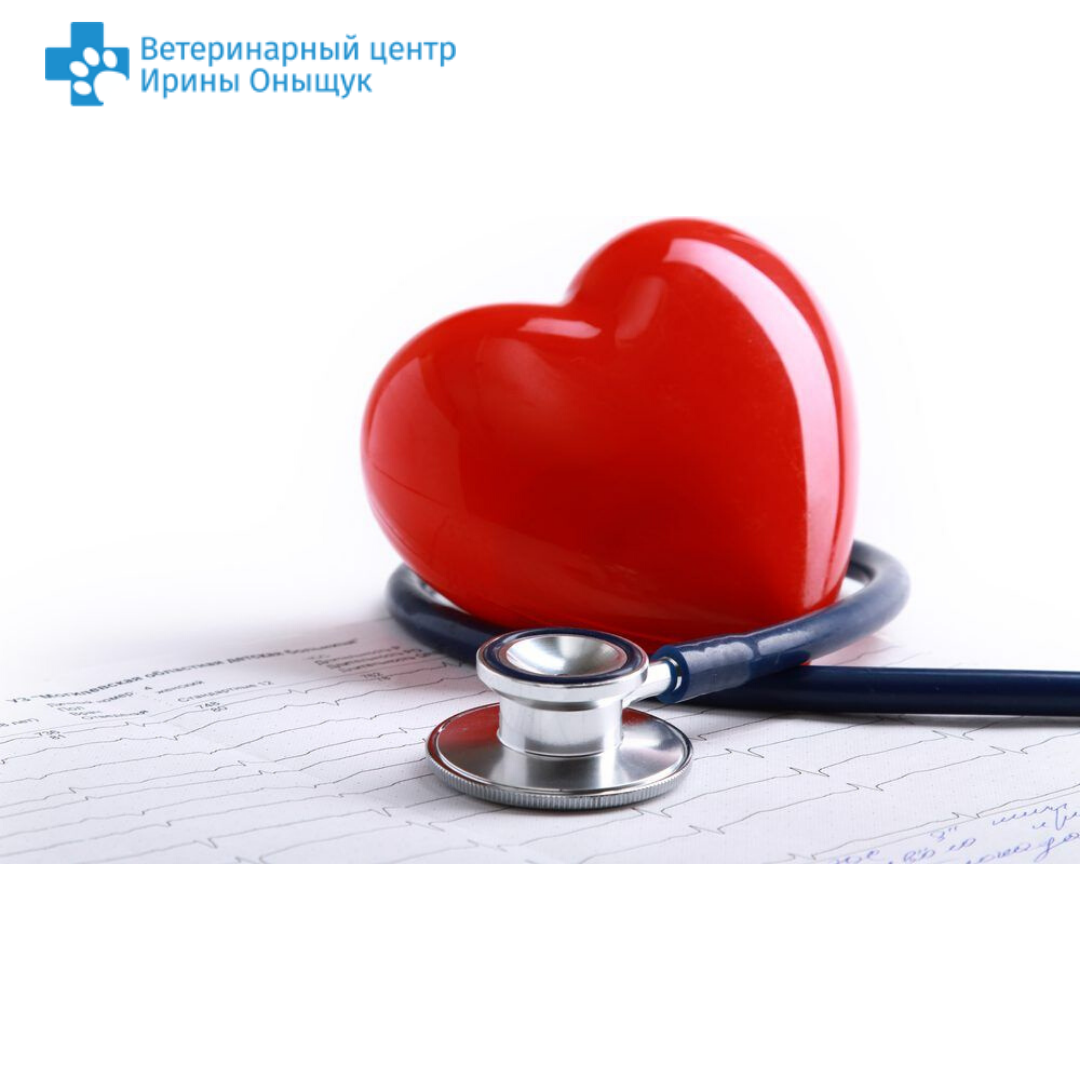 Открытка любимому доктору