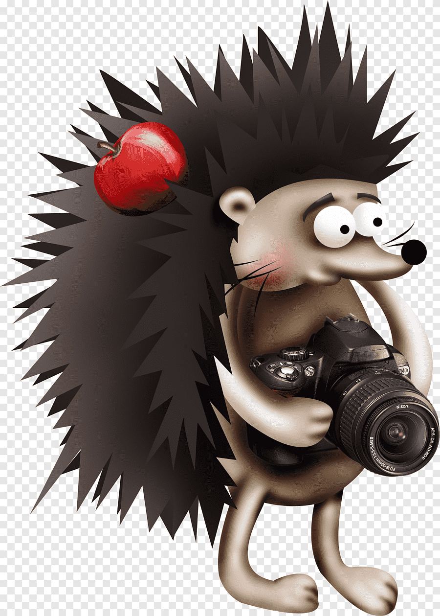 Ежик с фотоаппаратом