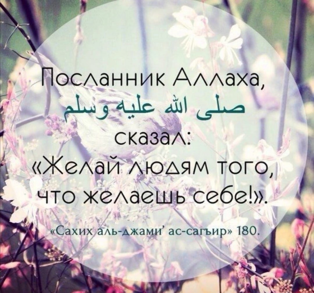 Красивые исламские цитаты