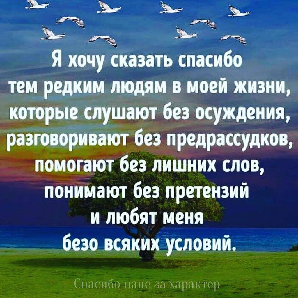 Спасибо цитаты