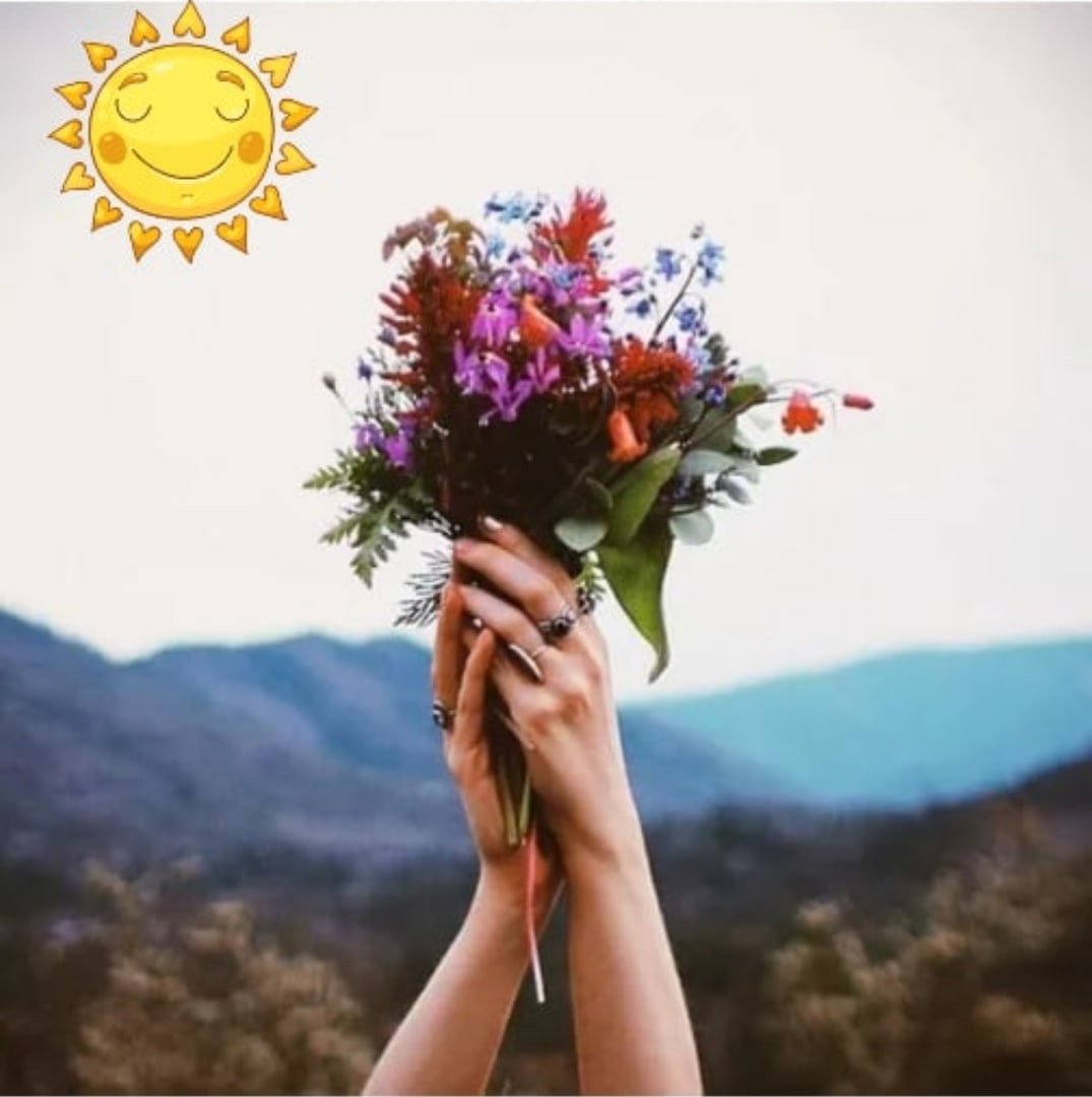 Забудь обиды