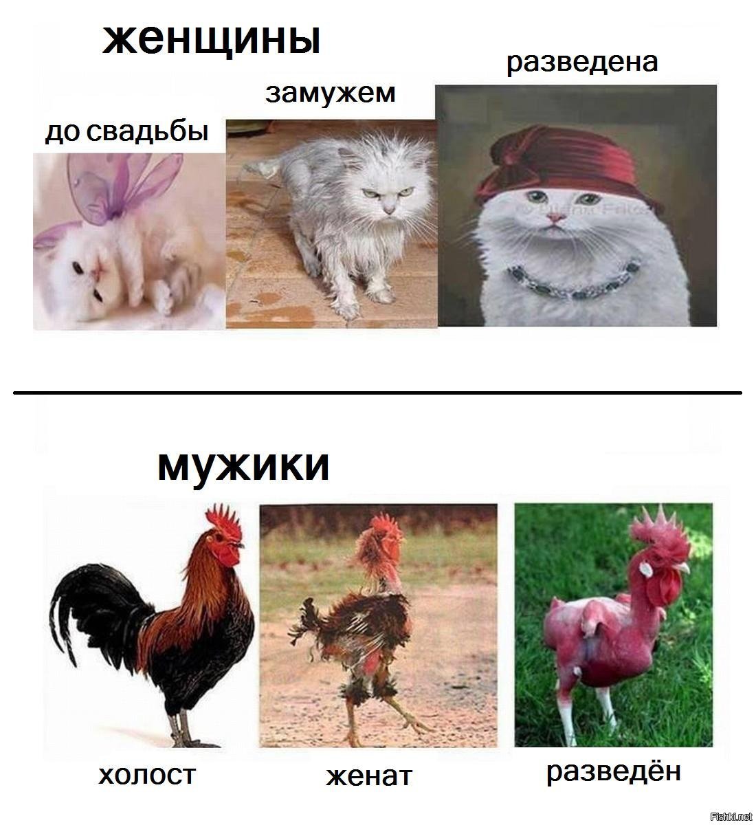 Малик и Бибигуль