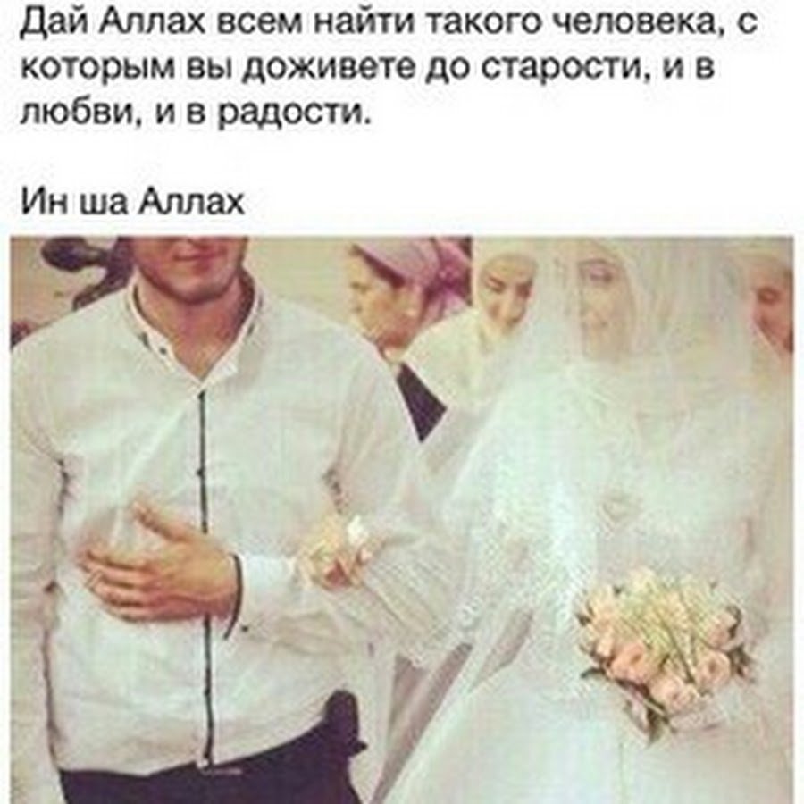 Измена девушки переписка