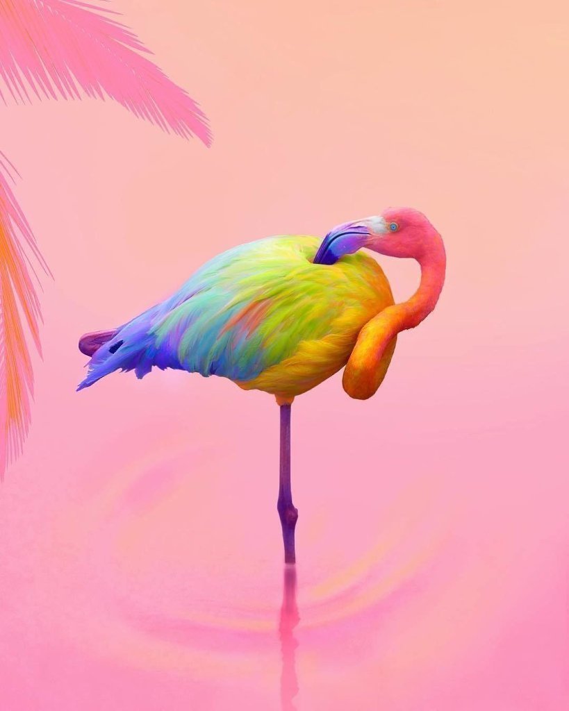 Разноцветные узоры