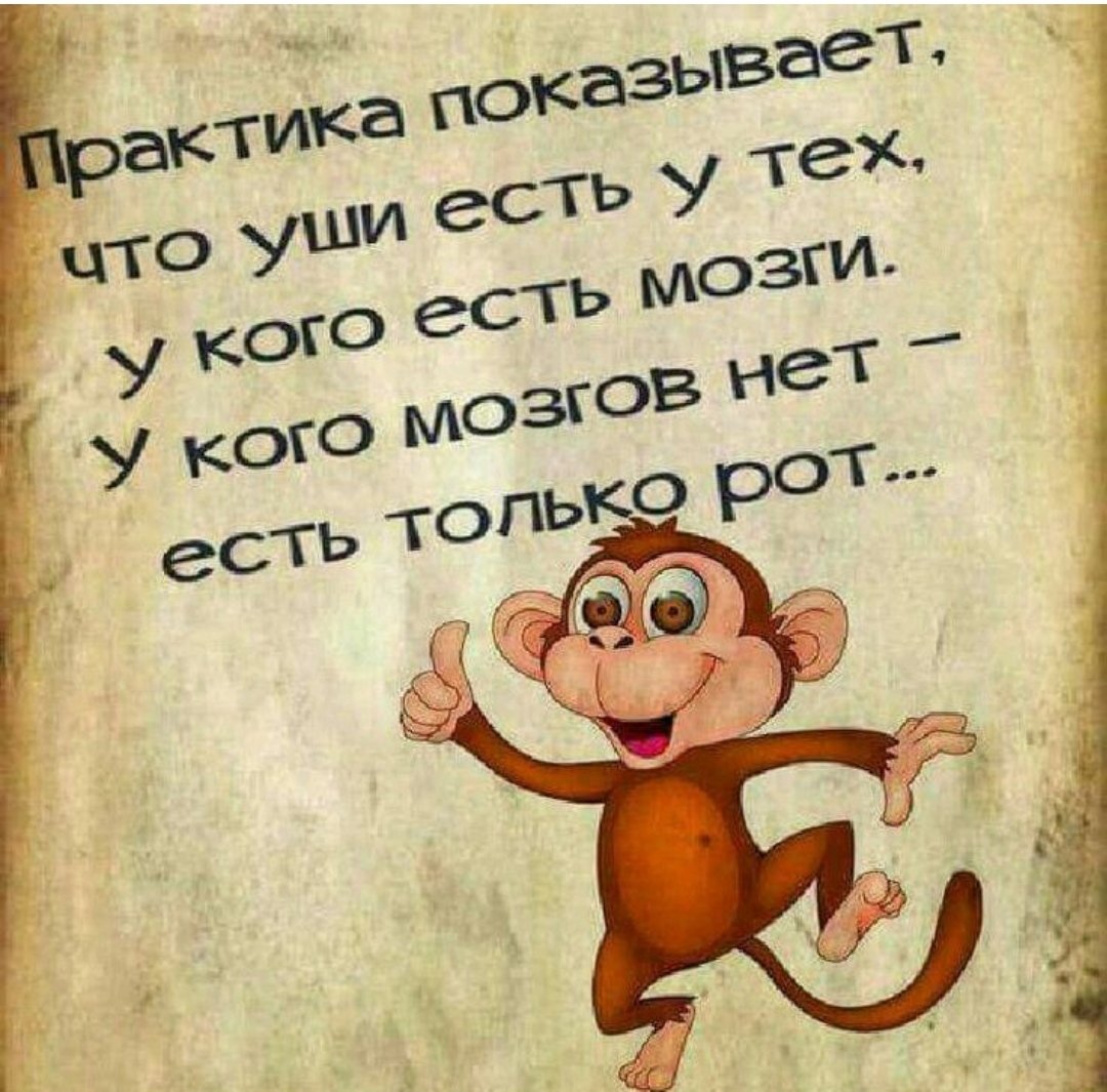 Цитаты про оптимизм