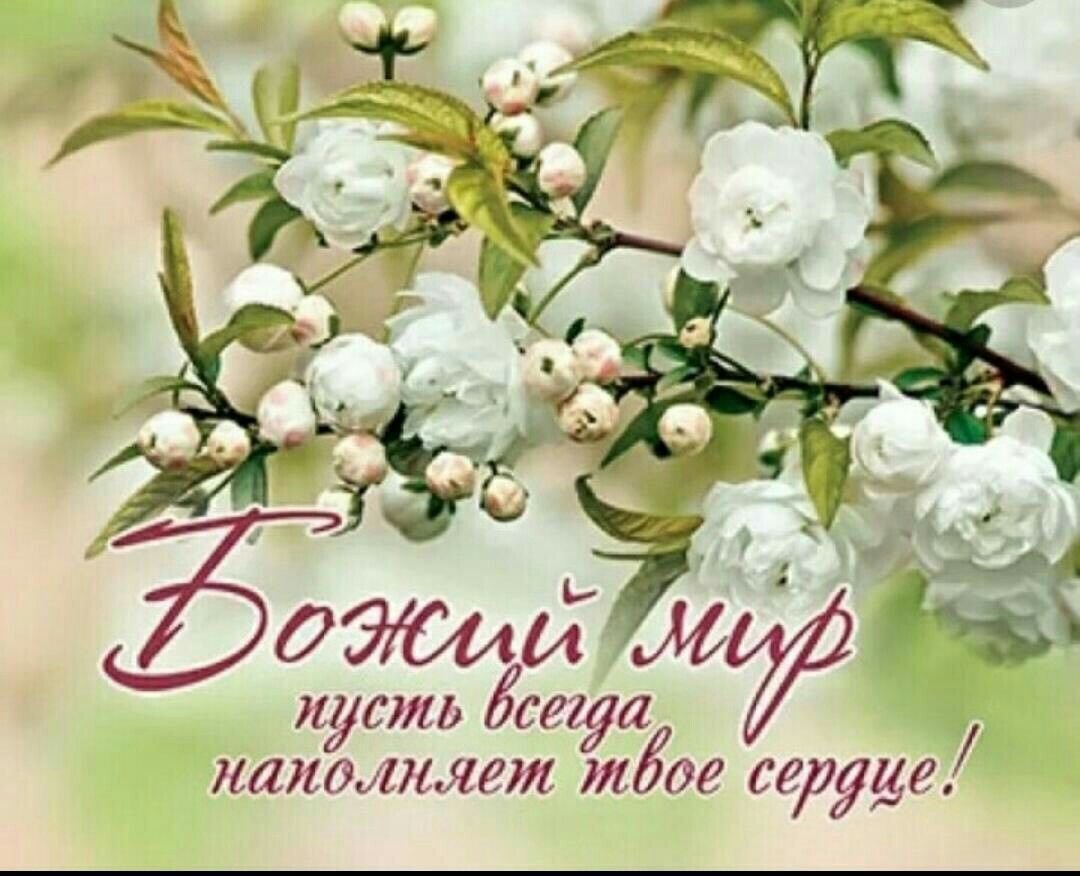 С днём рождения Божьих благословений