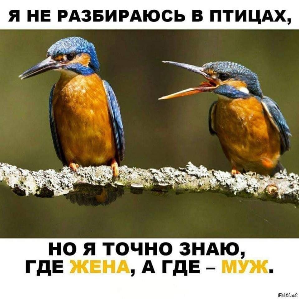 А Я пью что тут пить