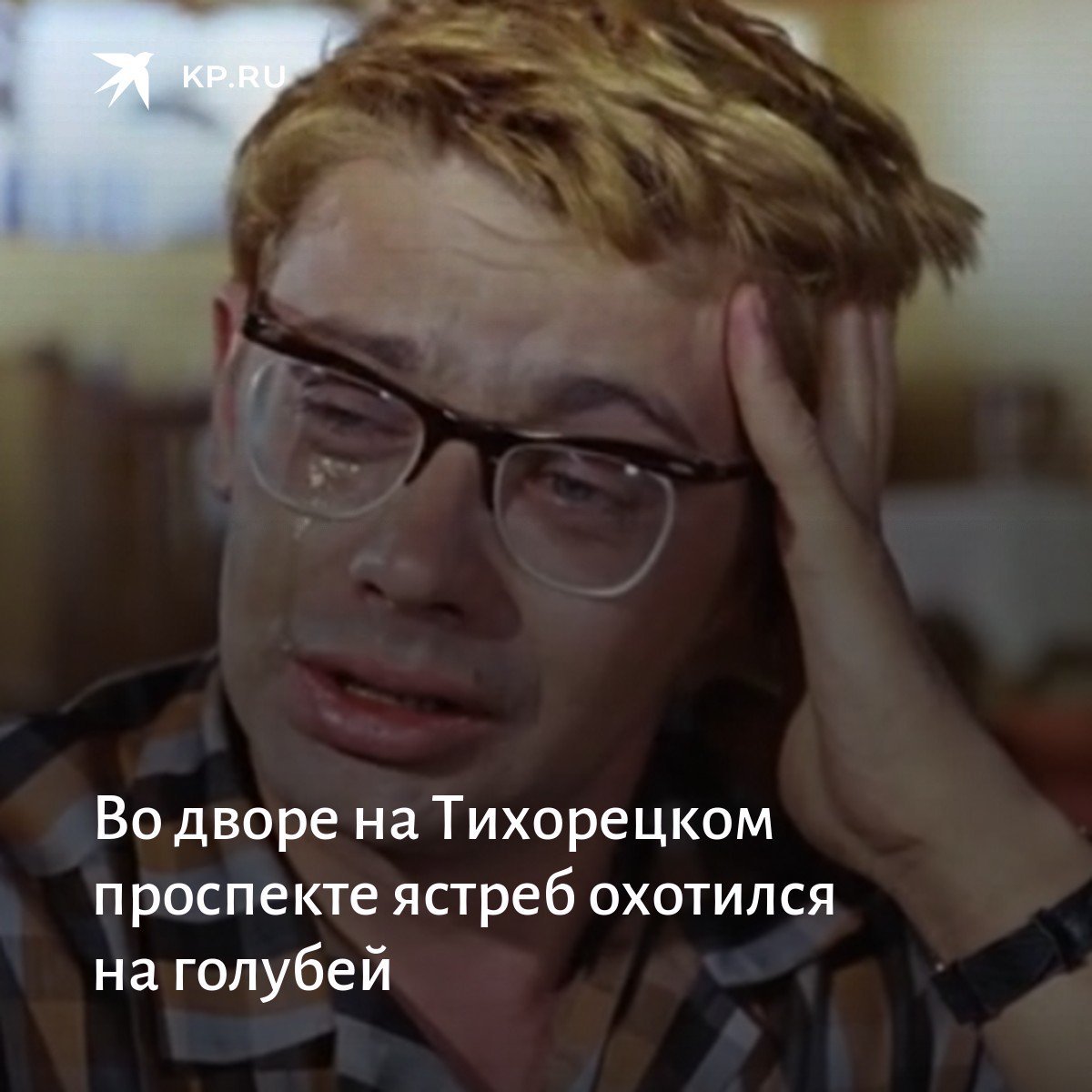 Взъерошенная птица