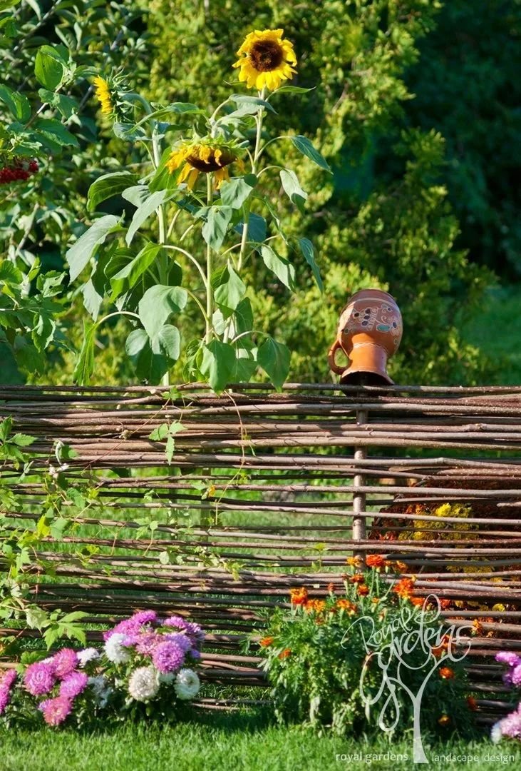 Плетень из лозы Кубанский стиль