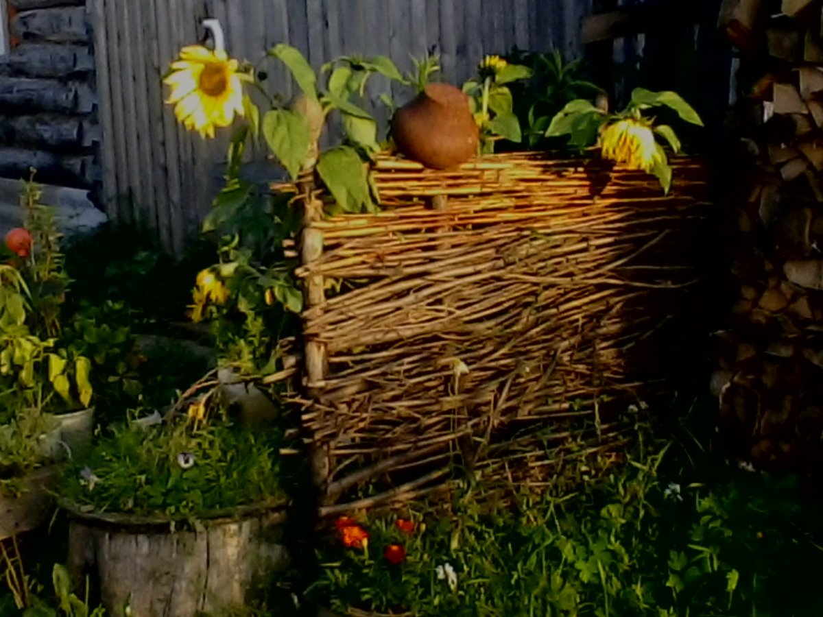 Деревенская изгородь плетень