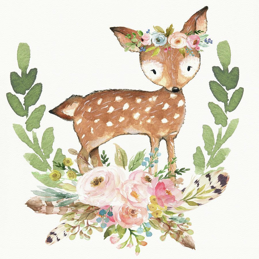 Аусси австралийская овчарка