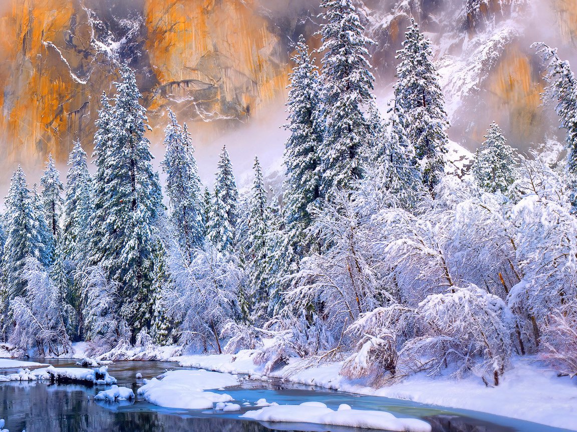 Сказочный зимний лес