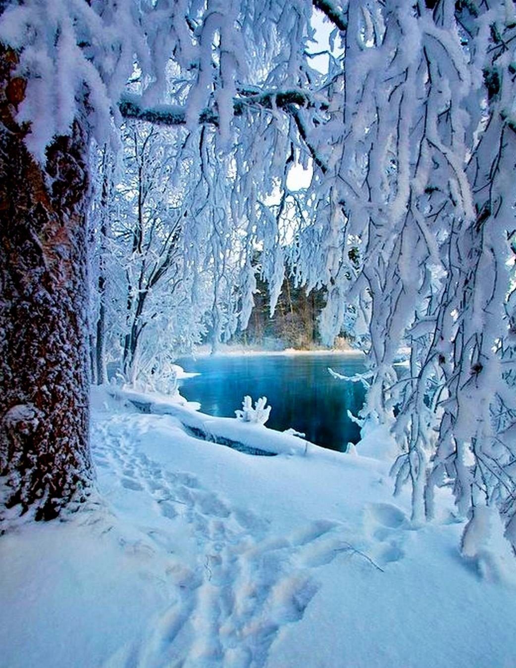 Художник Чачева Дарья: зима