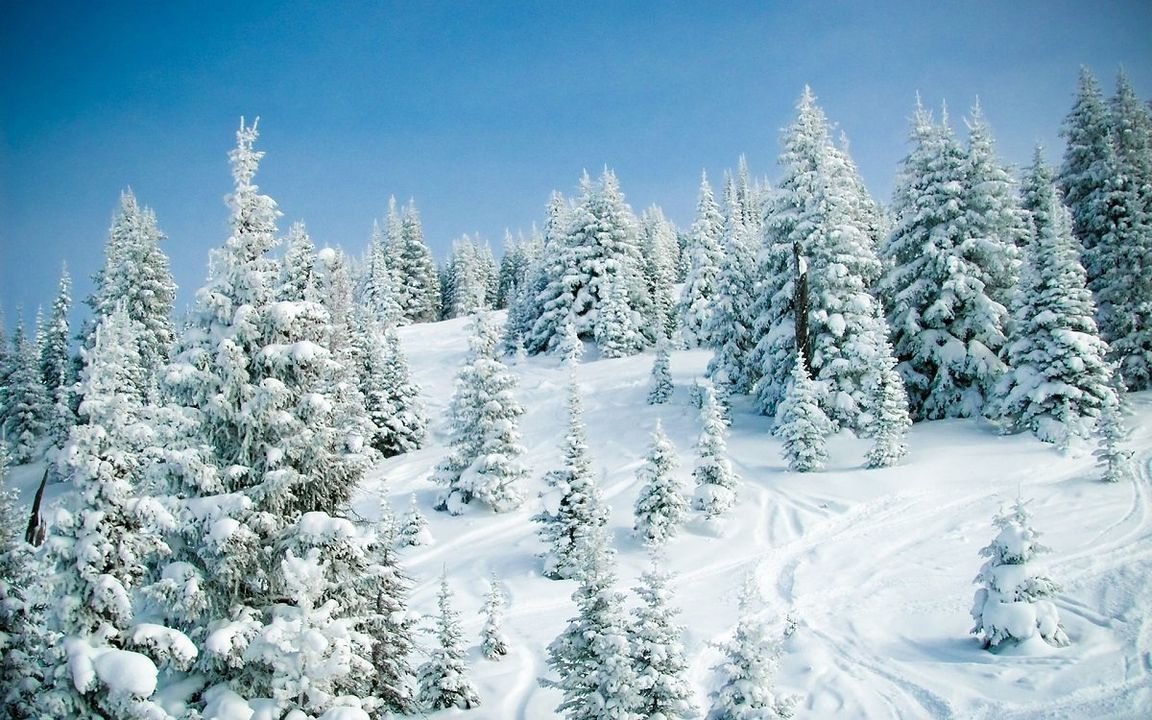 Сказочный зимний лес картинки